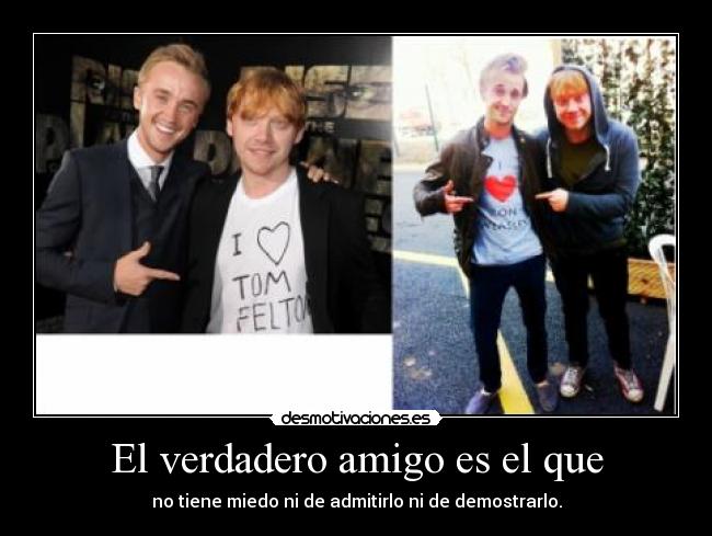El verdadero amigo es el que - no tiene miedo ni de admitirlo ni de demostrarlo.