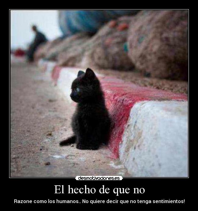 El hecho de que no -