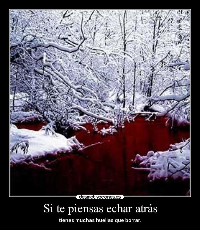 Si te piensas echar atrás -