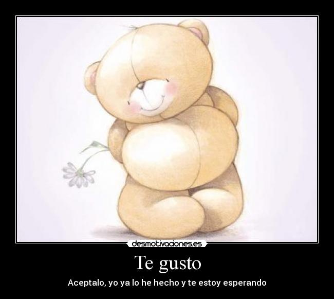 Te gusto -