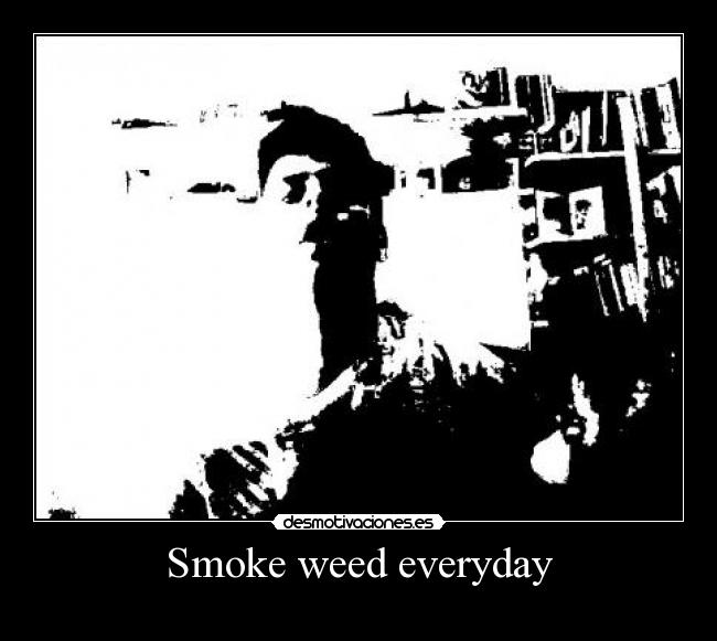 carteles pepofilo clanhoygan smoke weed everyday come with niggas ganas desmotivaciones