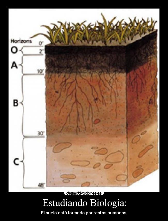 Estudiando Biología: - 