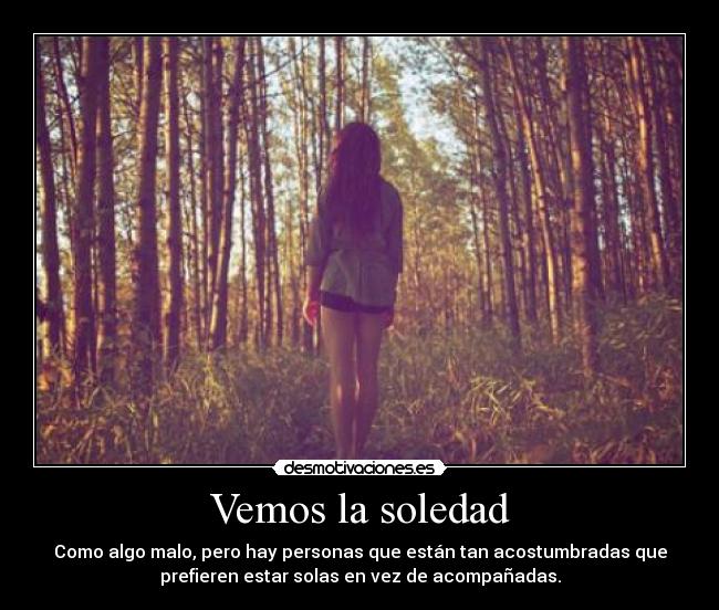 Vemos la soledad -