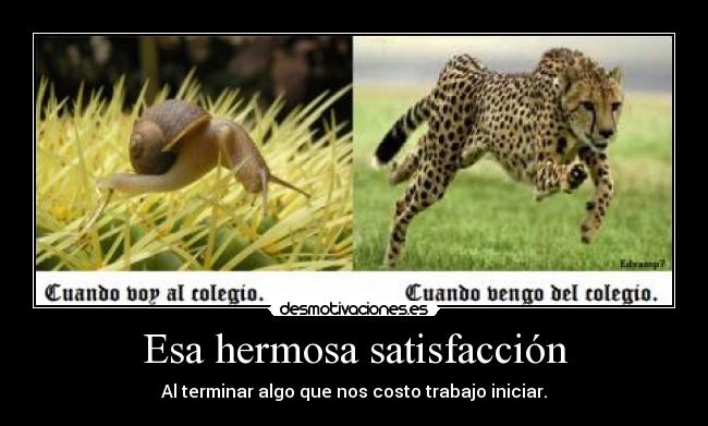 Esa hermosa satisfacción - Al terminar algo que nos costo trabajo iniciar.