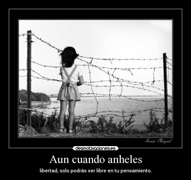 carteles gvaers desmotivaciones