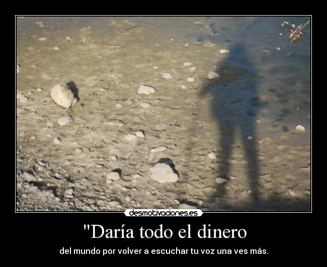 Daría todo el dinero - 