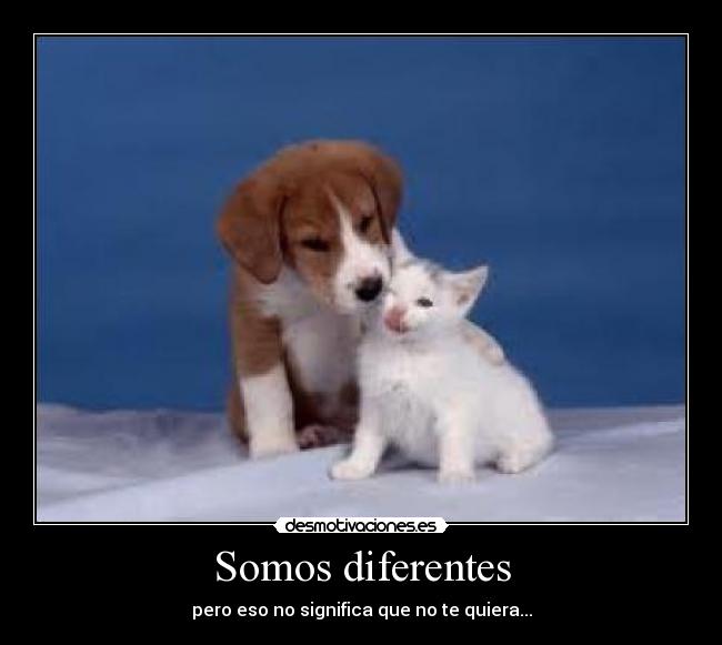 Somos diferentes - 
