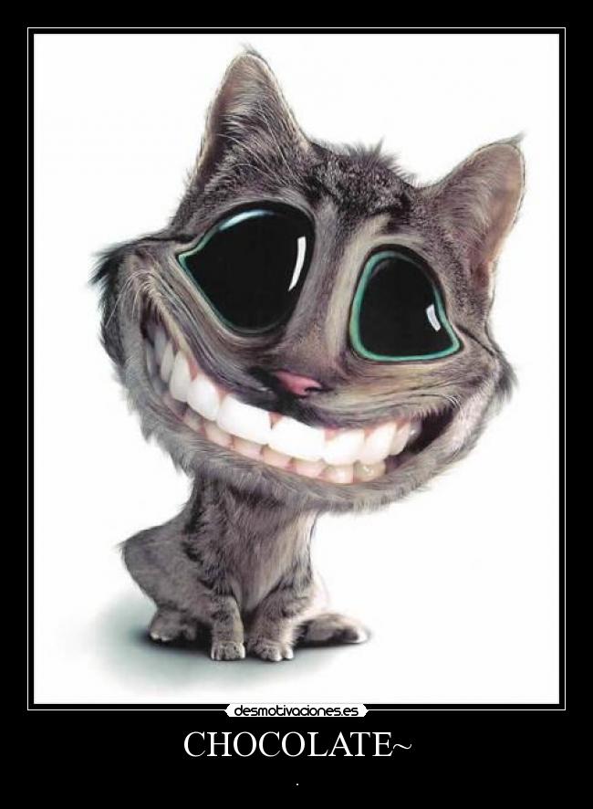 CHOCOLATE~ -