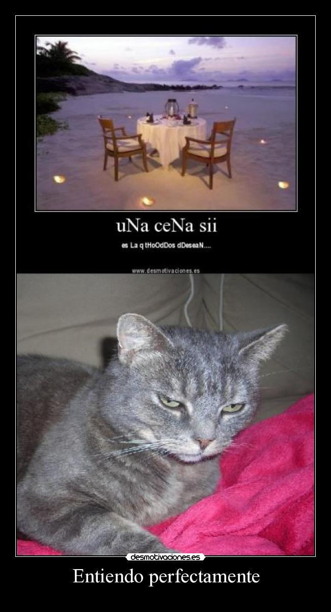 carteles este gatossera sobre explotado mis respuestas tuenti clanccm desmotivaciones