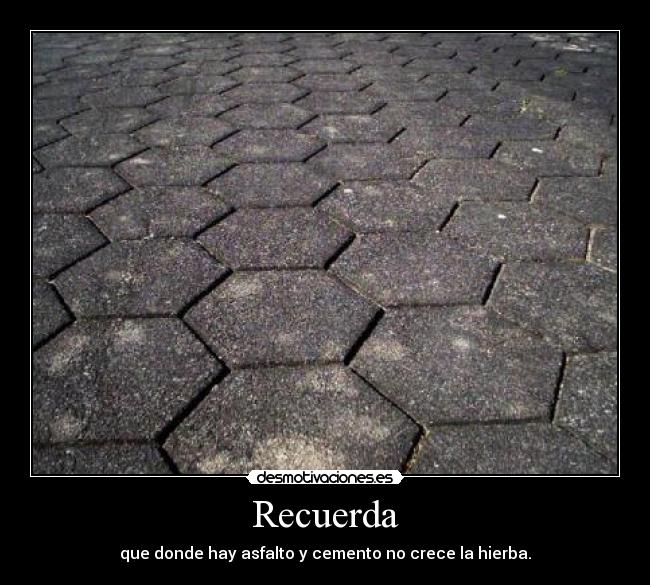 Recuerda - que donde hay asfalto y cemento no crece la hierba.