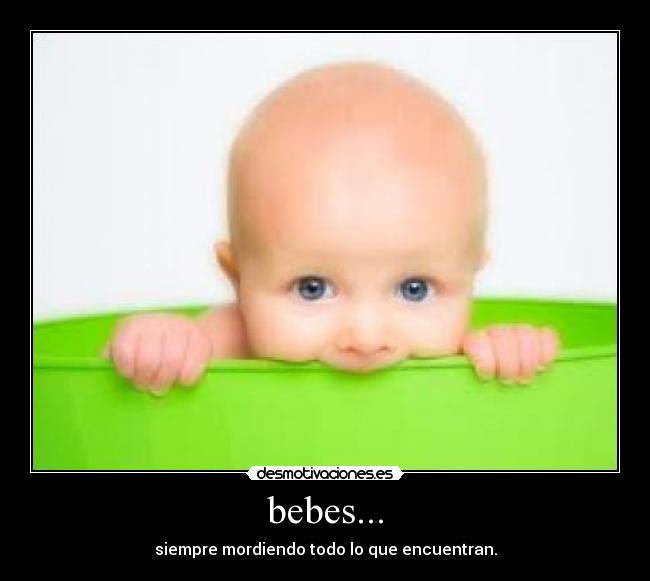 bebes... -