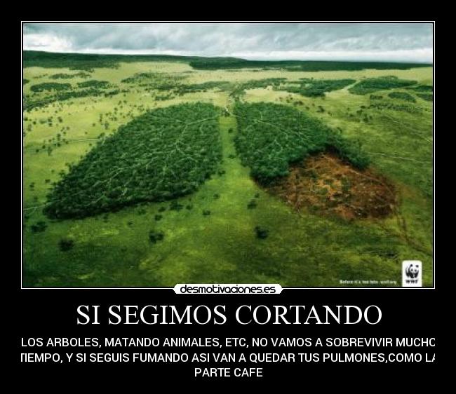 SI SEGIMOS CORTANDO - LOS ARBOLES, MATANDO ANIMALES, ETC, NO VAMOS A SOBREVIVIR MUCHO
TIEMPO, Y SI SEGUIS FUMANDO ASI VAN A QUEDAR TUS PULMONES,COMO LA
PARTE CAFE