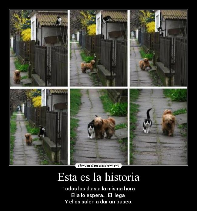 Esta es la historia - 