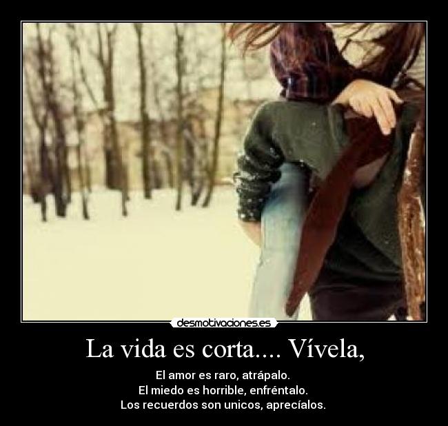 La vida es corta.... Vívela, - El amor es raro, atrápalo.
El miedo es horrible, enfréntalo.
Los recuerdos son unicos, aprecíalos. ♥