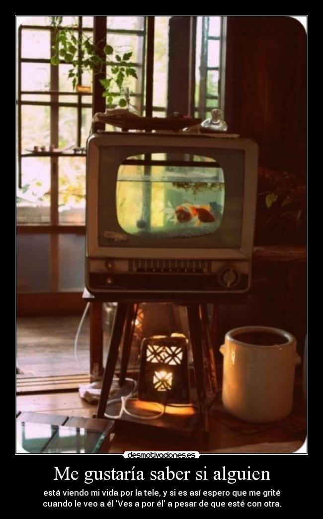 Me gustaría saber si alguien - está viendo mi vida por la tele, y si es así espero que me grité
cuando le veo a él Ves a por él a pesar de que esté con otra.