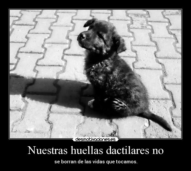 Nuestras huellas dactilares no - 