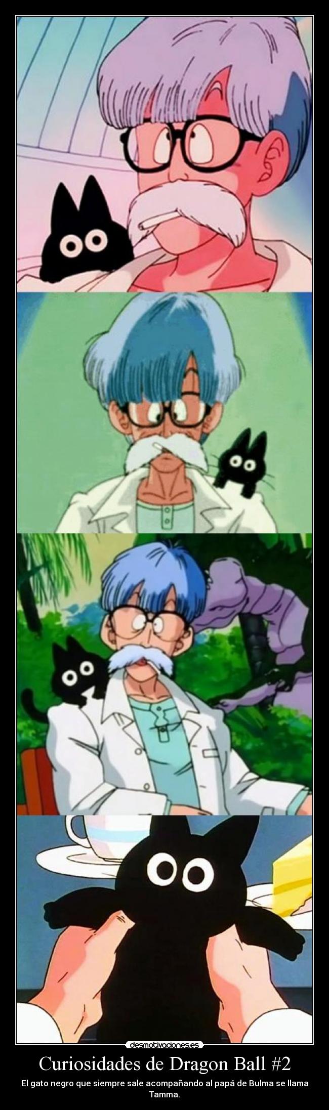 Curiosidades de Dragon Ball #2 - El gato negro que siempre sale acompañando al papá de Bulma se llama Tamma.