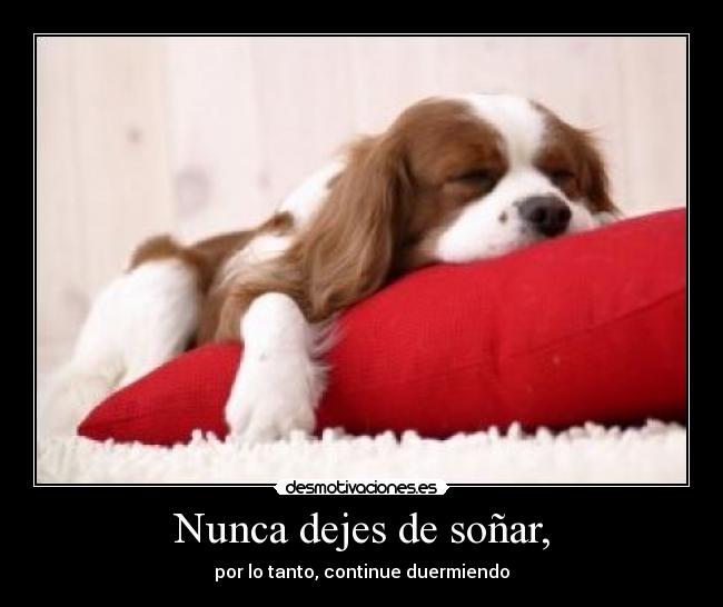 Nunca dejes de soñar, -