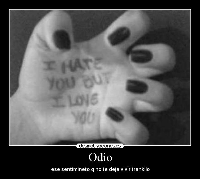 carteles odio aveces odio puede llevar hacer cosas imaginas desmotivaciones