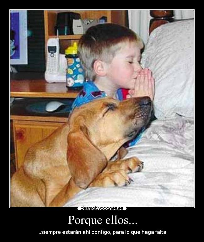 Porque ellos... -