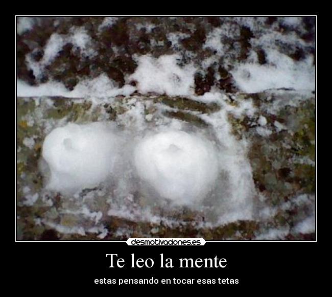 Te leo la mente - estas pensando en tocar esas tetas