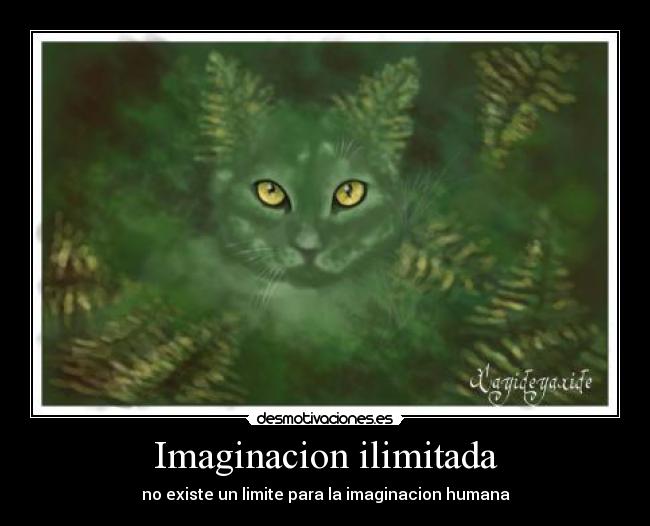 carteles imaginacion imaginacion humana ilimitada sin limites desmotivaciones