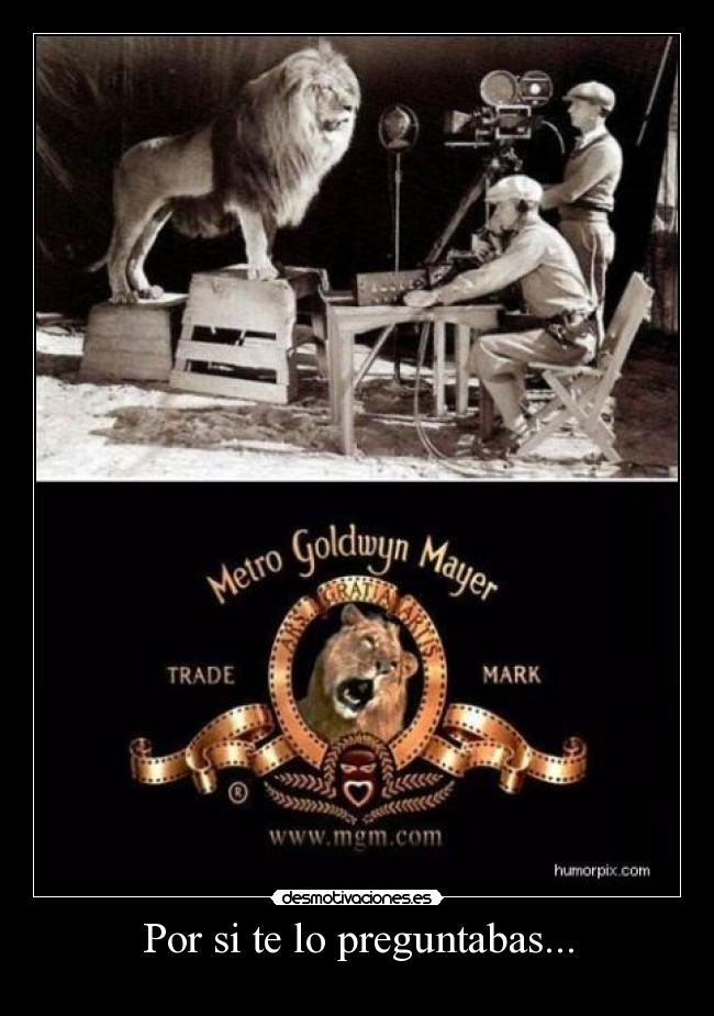 Por si te lo preguntabas... -