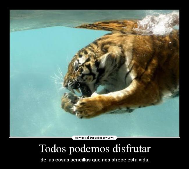 Todos podemos disfrutar -