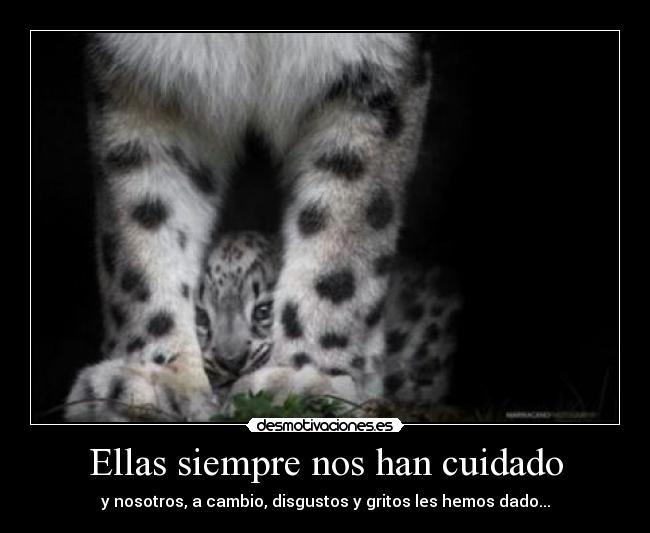 Ellas siempre nos han cuidado - y nosotros, a cambio, disgustos y gritos les hemos dado...