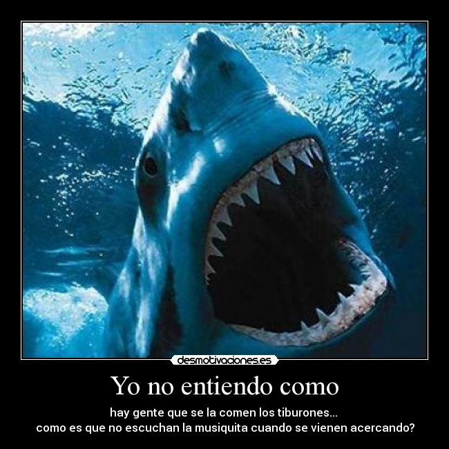 Yo no entiendo como -