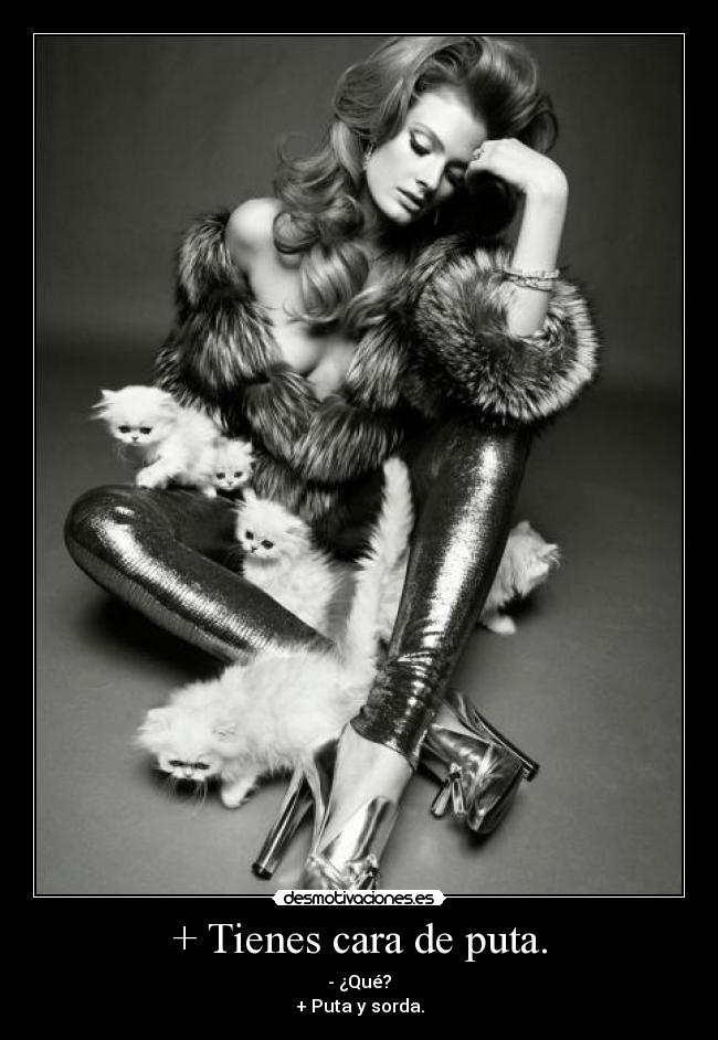 + Tienes cara de puta. -