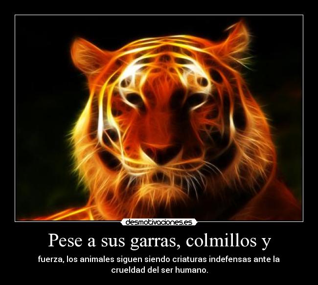 Pese a sus garras, colmillos y - fuerza, los animales siguen siendo criaturas indefensas ante la
crueldad del ser humano.