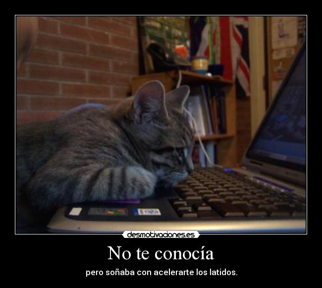 carteles idiota hasel antes llegar desmotivaciones