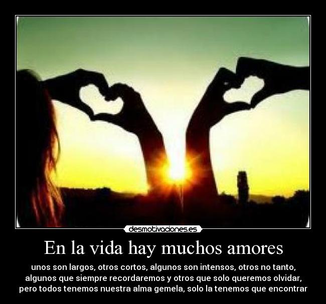 En la vida hay muchos amores -