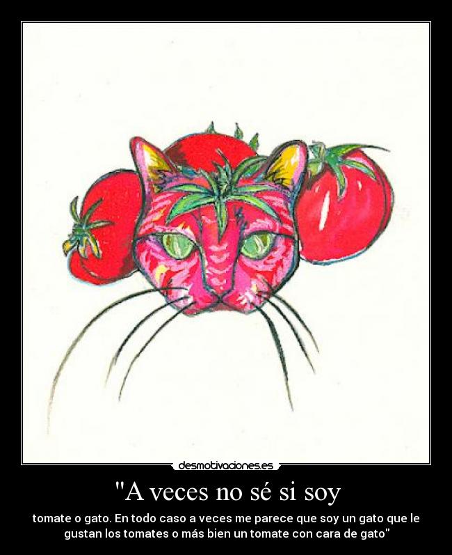 A veces no sé si soy - tomate o gato. En todo caso a veces me parece que soy un gato que le
gustan los tomates o más bien un tomate con cara de gato