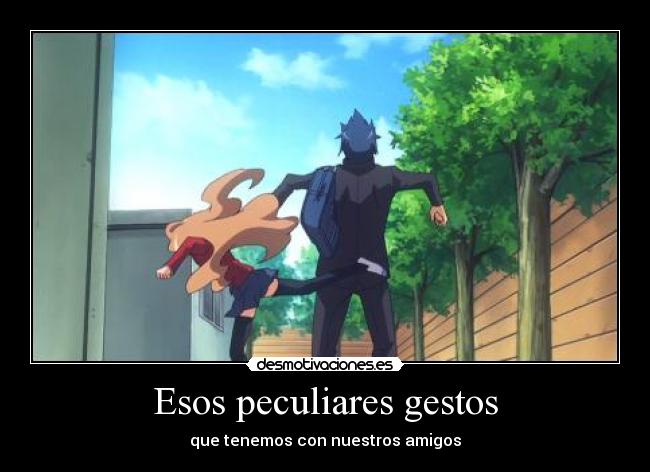 carteles toradora anime harukaze taiga ryuji saludos despedidas extranas desmotivaciones