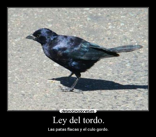 Ley del tordo. - 