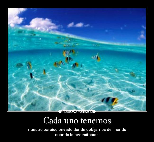 carteles mundo desmotivaciones