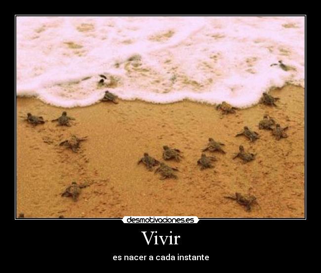 Vivir -