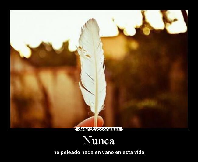 Nunca - 