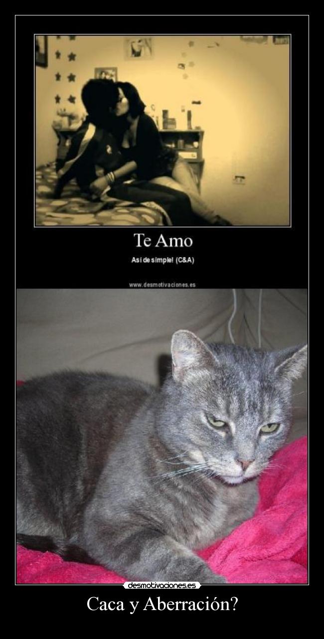 Caca y Aberración? -