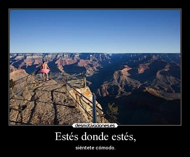 carteles bob carey proyecto tutu desmotivaciones