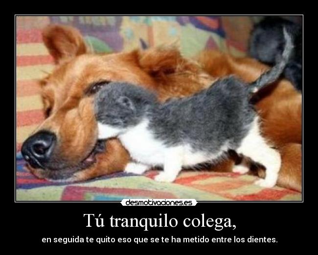 Tú tranquilo colega, - en seguida te quito eso que se te ha metido entre los dientes.