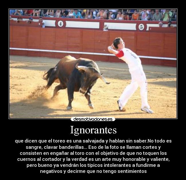 Ignorantes - que dicen que el toreo es una salvajada y hablan sin saber.No todo es
sangre, clavar banderillas... Eso de la foto se llaman cortes y
consisten en engañar al toro con el objetivo de que no toquen los
cuernos al cortador y la verdad es un arte muy honorable y valiente,
pero bueno ya vendrán los típicos intolerantes a fundirme a
negativos y decirme que no tengo sentimientos