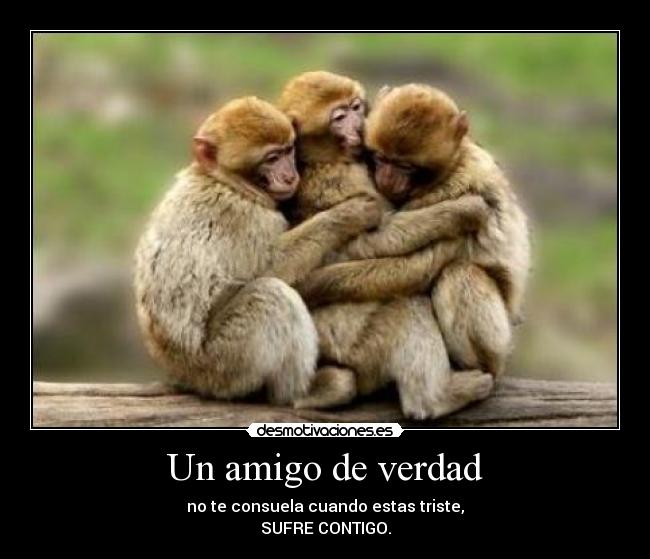 Un amigo de verdad - no te consuela cuando estas triste,
SUFRE CONTIGO.