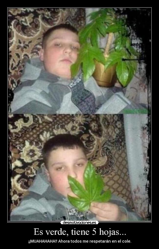 Es verde, tiene 5 hojas... - ¡¡MUAHAHAHA!! Ahora todos me respetarán en el cole.