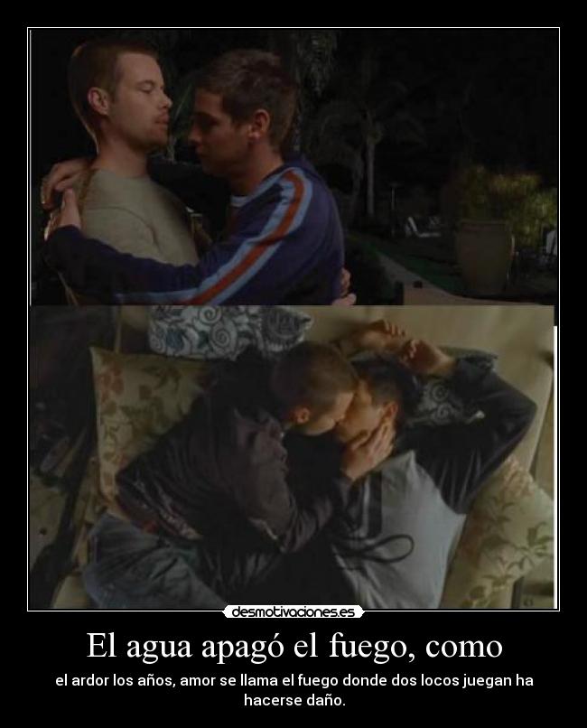 carteles darwin vacapantos sakura shaoran cadena shelter escondite zach desmotivaciones