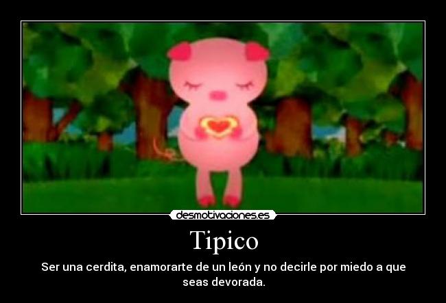 Tipico -