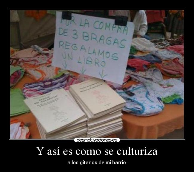 Y así es como se culturiza - a los gitanos de mi barrio.