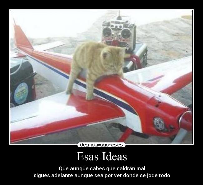 Esas Ideas - Que aunque sabes que saldrán mal
sigues adelante aunque sea por ver donde se jode todo